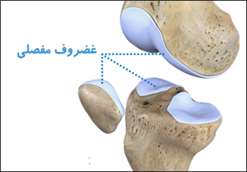 مفاصل