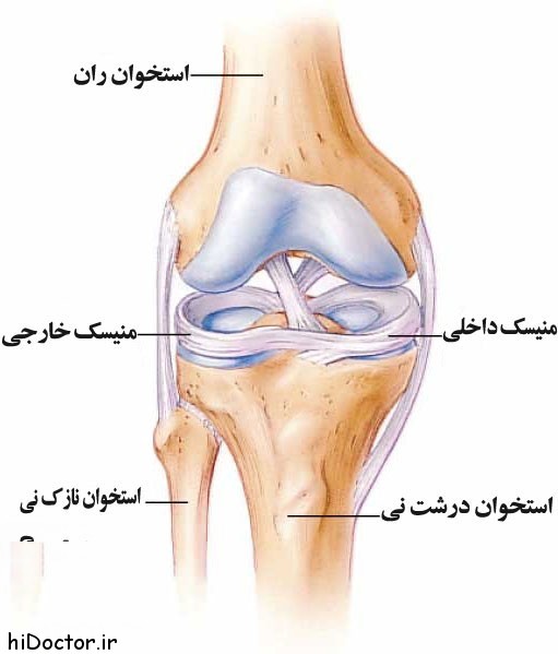 مفصل زانو